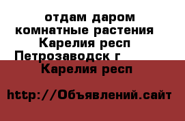 отдам даром комнатные растения - Карелия респ., Петрозаводск г.  »    . Карелия респ.